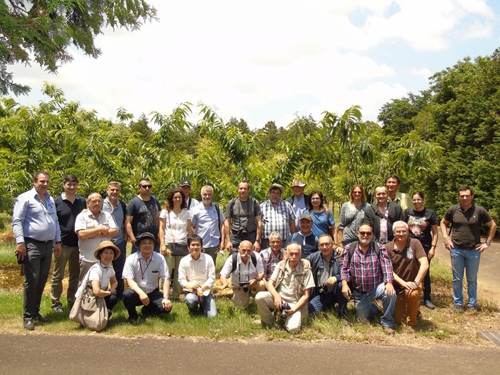 Mission castanéiculture au Japon