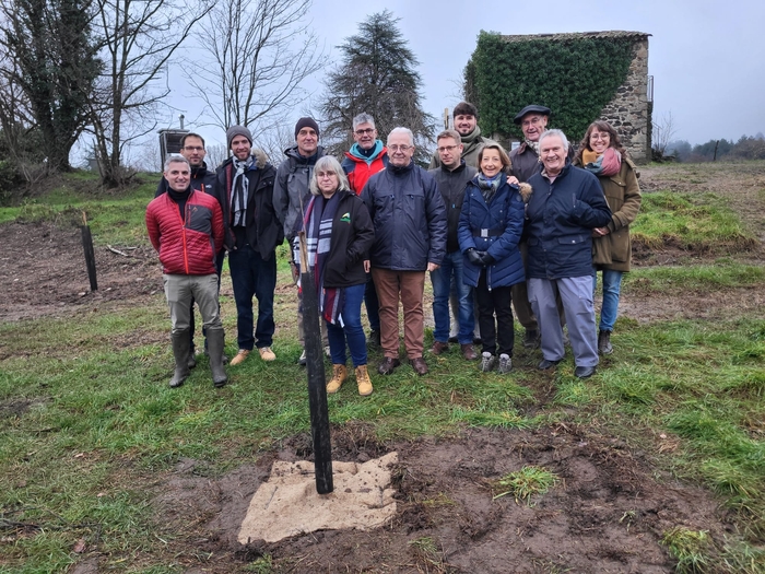 Un nouveau verger conservatoire pour préserver les variétés de Châtaigne d'Ardèche AOP !