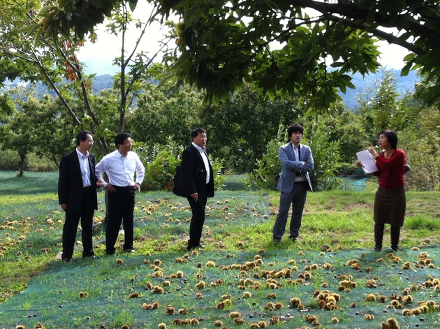 Le Japon à la rencontre de la Châtaigne d'Ardèche