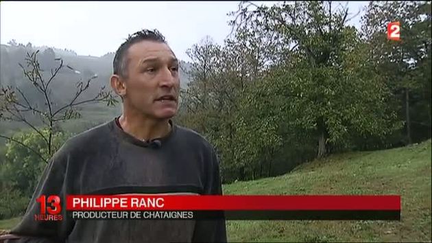 Reportage sur le Cynips au 13h de France 2