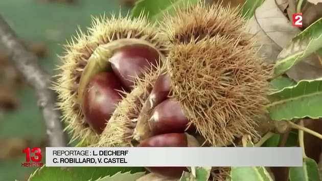 Une semaine dédiée à la 