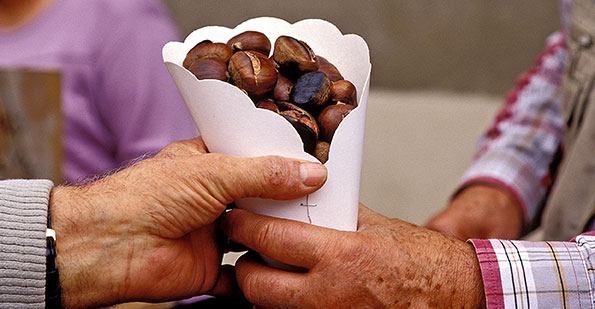 Offrir le meilleur de la Châtaigne d'Ardèche aux consommateurs