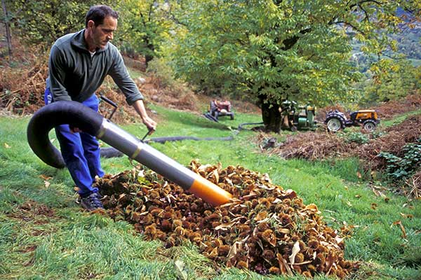 Aspirateur